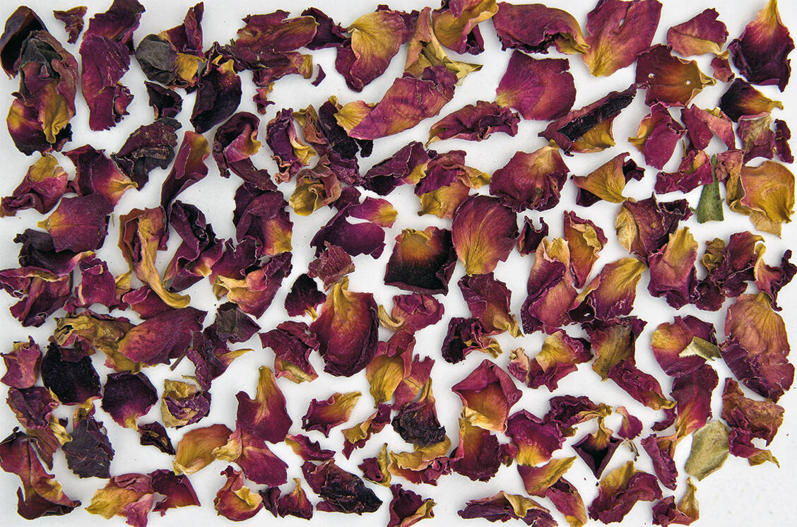 Rosenblüten sind nun im Europäischen Arzneibuch monographiert. Die entsprechende DAC-Monographie entfällt daher. / © DAC/NRF