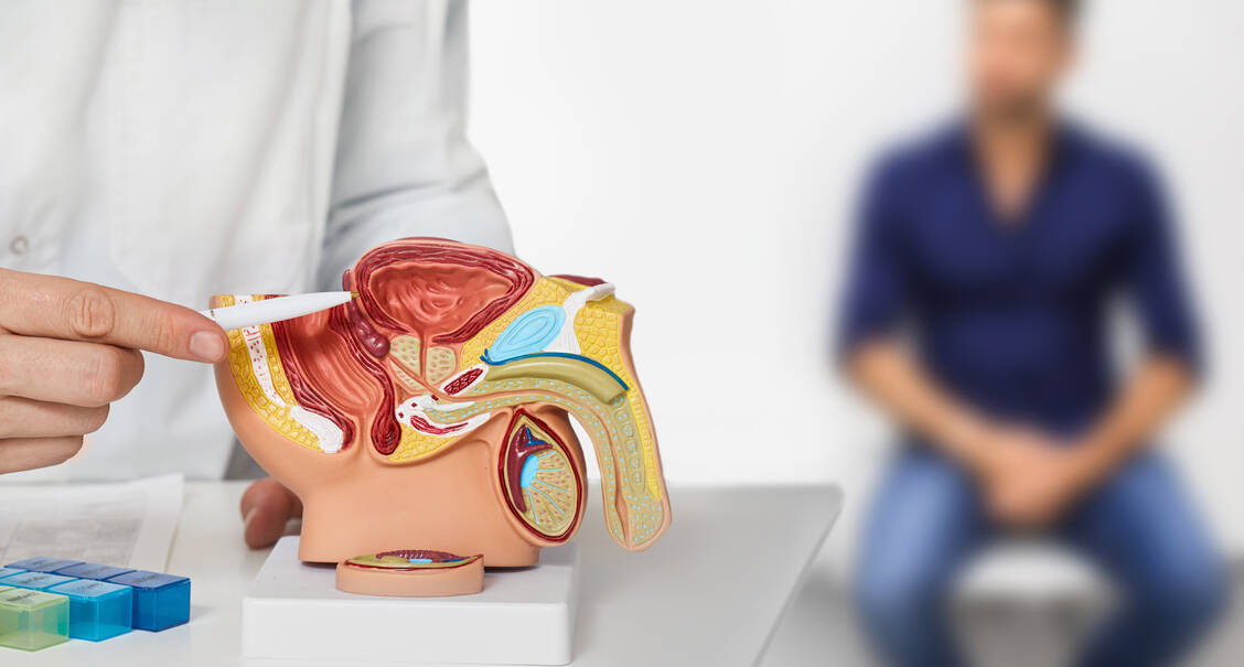 Erdafitinib kommt für manche Patienten mit einem Tumor der Blase oder des Harntrakts infrage. / © Adobe Stock/Peakstock