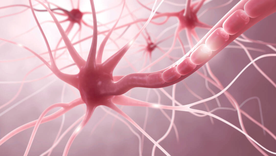 Das neue Medikament greift gezielt in den Energiestoffwechsel von Mitochondrien ein. / Foto: Fotolia/ag visuell