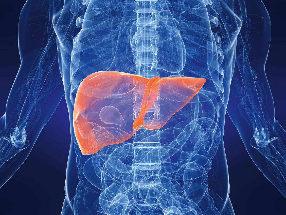 Eine Infektion mit Hepatitis-Viren kann zu Leberversagen führen.  / Foto: Fotolia/Sebstian Kaulitzki