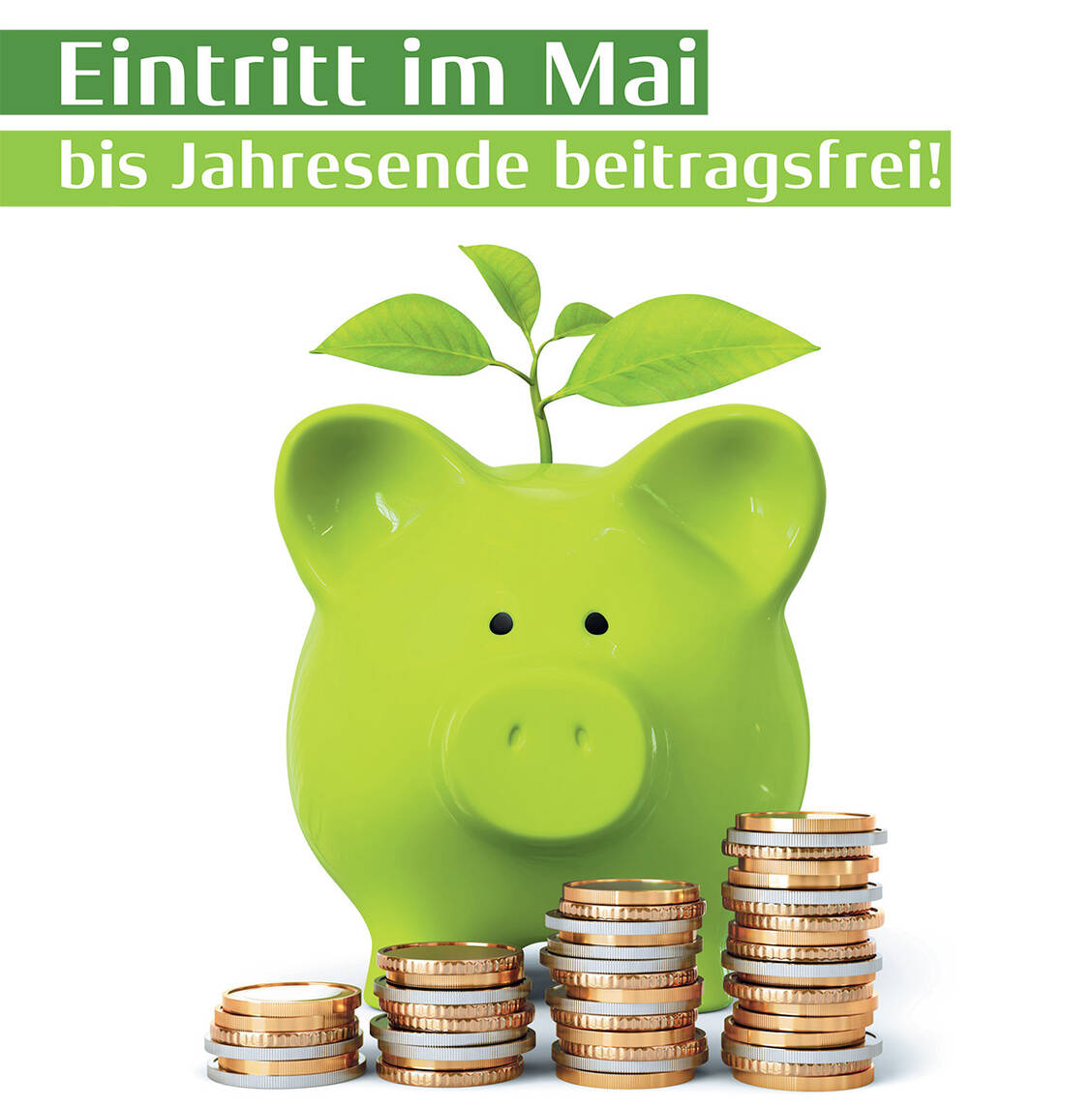 Werden Sie im Mai Adexa-Mitglied und Sie sparen bis Ende des Jahres den Mitgliedsbeitrag. Online-Beitritt: www.adexa-online.de / Foto: Adexa