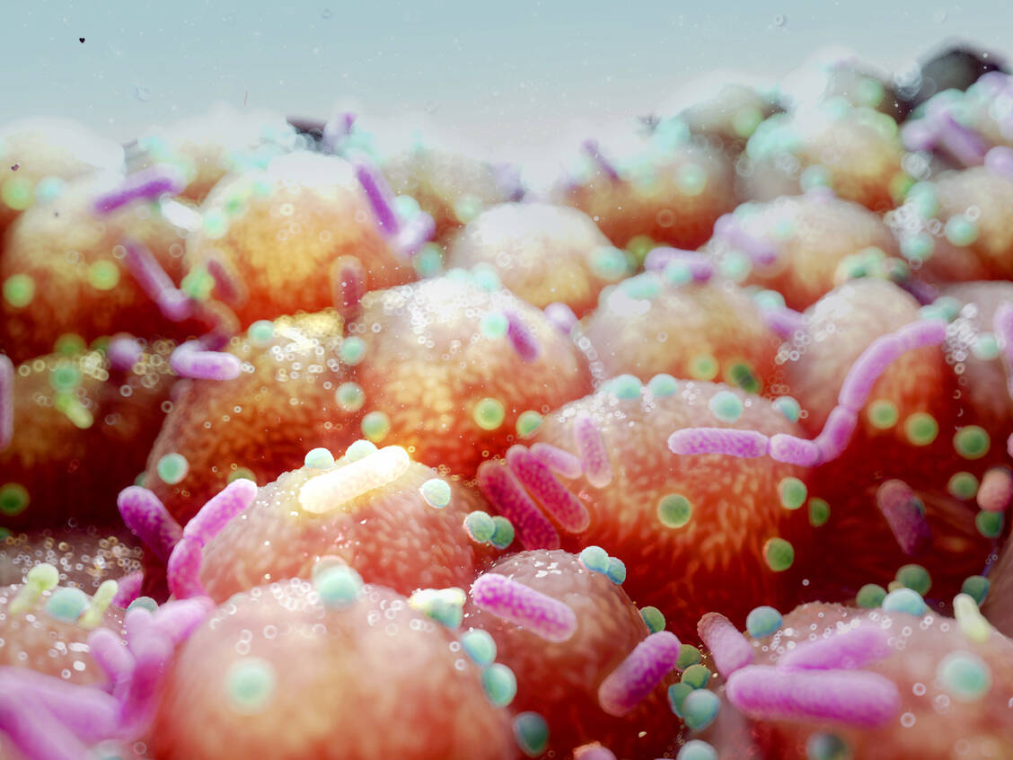 Ein Antibiotikaresistenter Keim gibt seine Resistenzgene weiter. / Foto: Getty Images/Nanoclustering/Science Photo Library