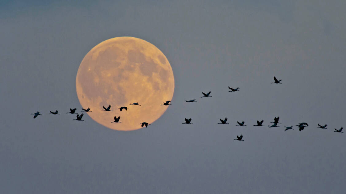 Bei vielen Menschen sind die Sehschärfe und das Kontrastsehen bei Dämmerung und in der Nacht wesentlich schlechter ausgeprägt als am Tag. / Foto: imago/blickwinkel