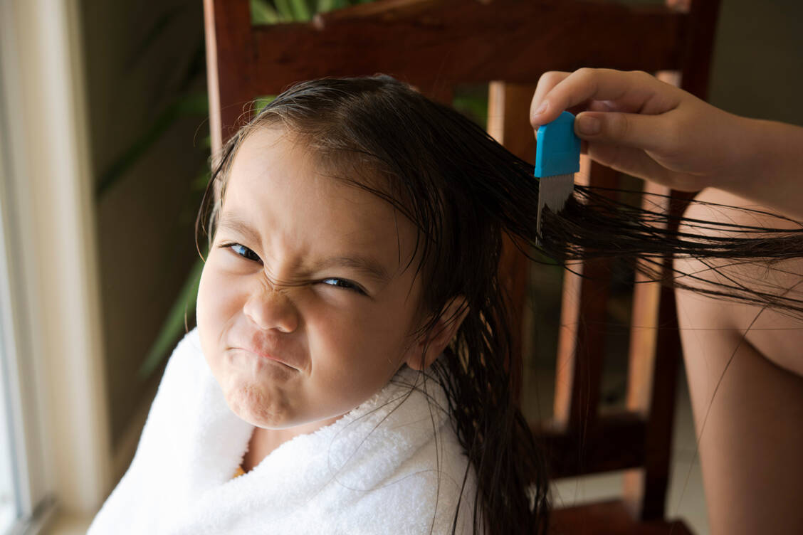 Bei Läusen hilft nur sorgfältiges Auskämmen der Haare und die Anwendung von bewährten Läusemitteln. / Foto: Getty Images/YSach