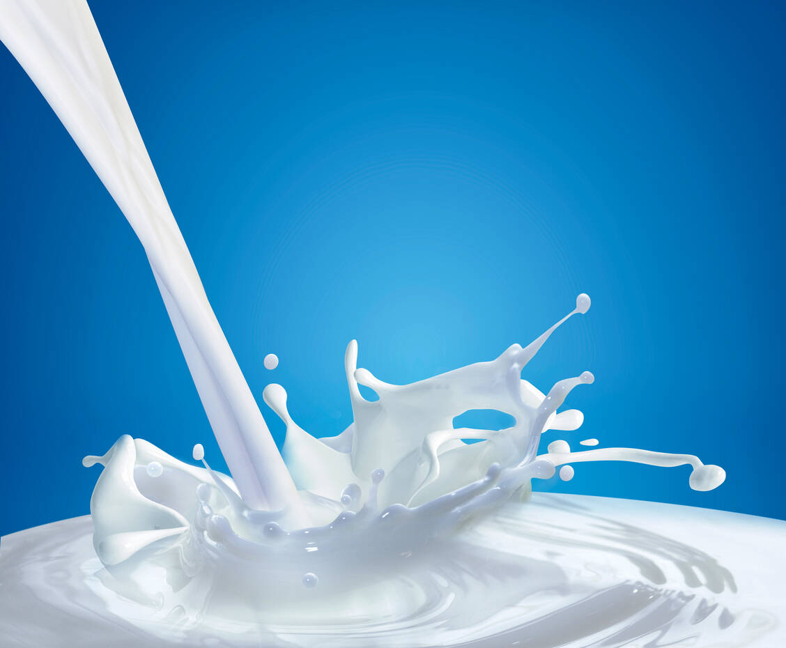 Die Infektion über Kuhmilch findet vermutlich im ersten Lebensjahr statt. / Foto: Shutterstock/adike