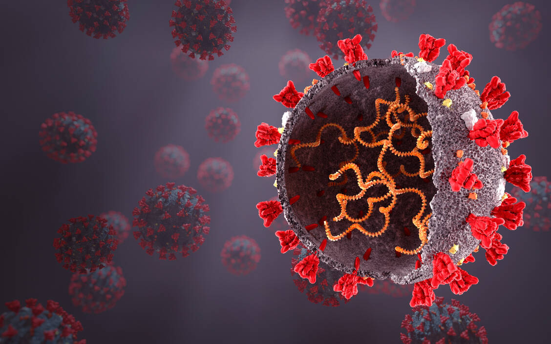 Das Coronavirus mutiert, ein normaler Vorgang. Manche der Varianten könnten sich auf die Wirksamkeit der Impfungen auswirken.  / Foto: Adobe Stock/Nikolay