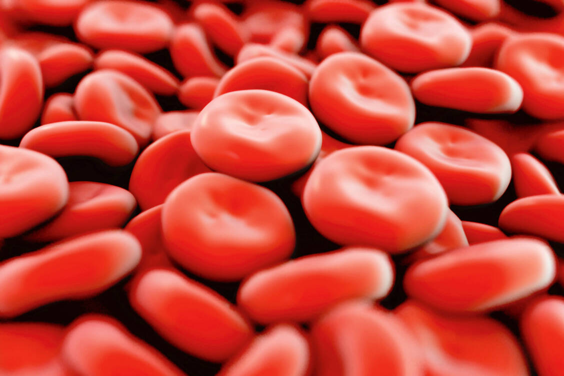 Kleine, steife Erythrozyten transportieren weniger Sauerstoff. Das könnte Untersuchungen zufolge die Erschöpfung bei Long Covid verursachen.  / Foto: Fotolia/royaltystockphoto