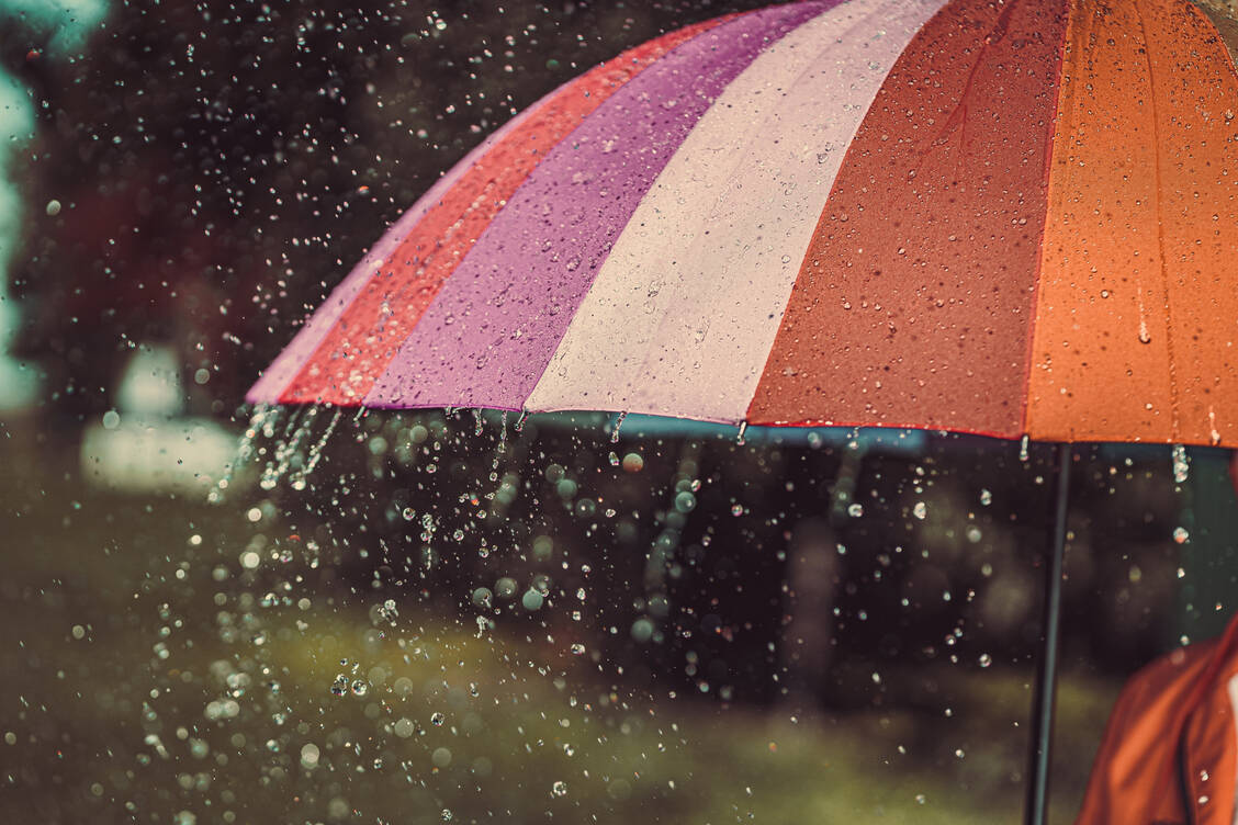 Carsten Watzl, Immunologe, vergleicht die Impfung mit einem Regenschirm. Bei einem starken Sturm, wie die Delta-Variante ihn repräsentiert, werde man trotz Schirm etwas nass. / Foto: Adobe Stock/Goffkein