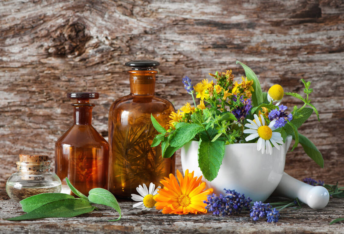 Pflanzenkraft, die wirkt: Bei modernen evidenzbasierten Phytopharmaka ist die Qualität verbürgt.  / Foto: Getty Images/AlexRaths