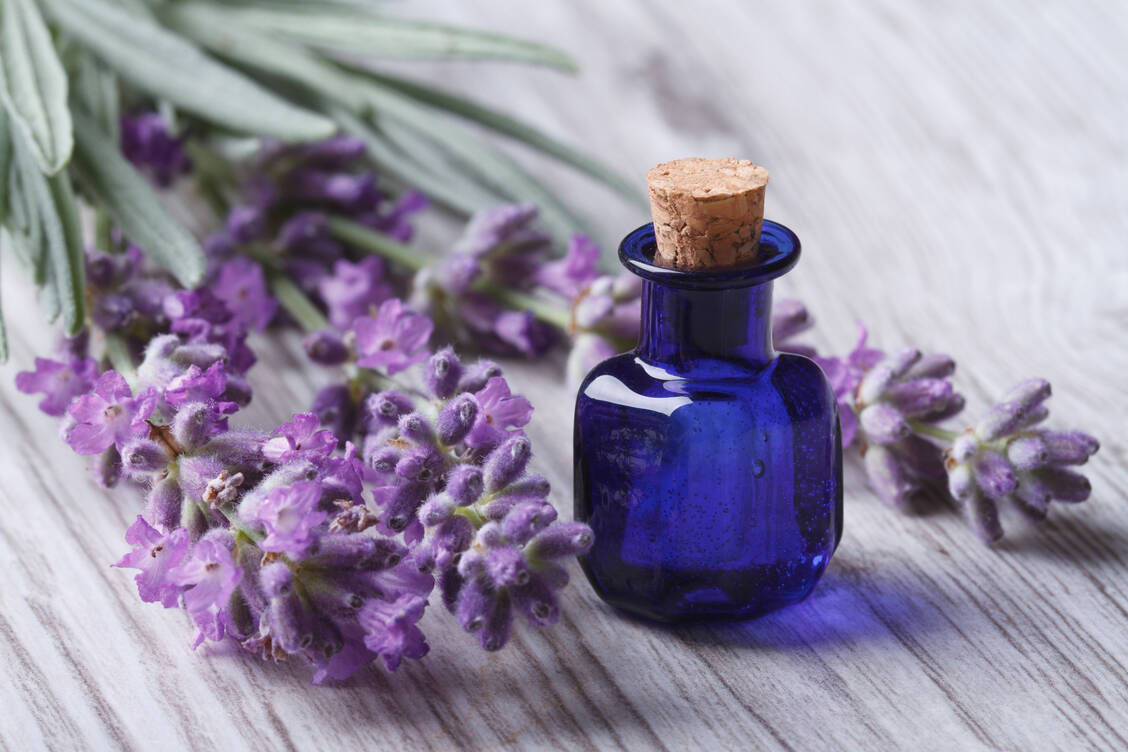 Lavendel und Teebaumöle enthalten hormonell wirksame Substanzen. / Foto: Adobe-Stock/FomaA
