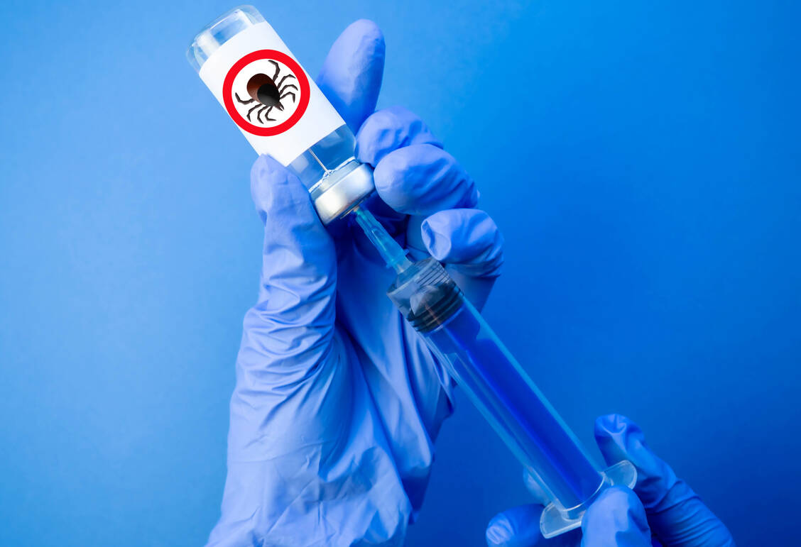 Ein neuer Impfstoff gegen Lyme-Borreliose der Pharmafirmen Pfizer und Valneva könnte bald eine jahrzehntelange Lücke schließen. / © Getty Images/Hit Stop Media