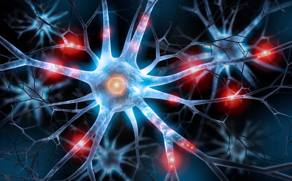 Eine Vollnarkose scheint der geistigen Leistungsfähigkeit nicht zu schaden. Neuronen feuern unbeeinträchtigt Signale  in gewohnter Manier.  / Foto: Adobe Stock/peterschreiber.media