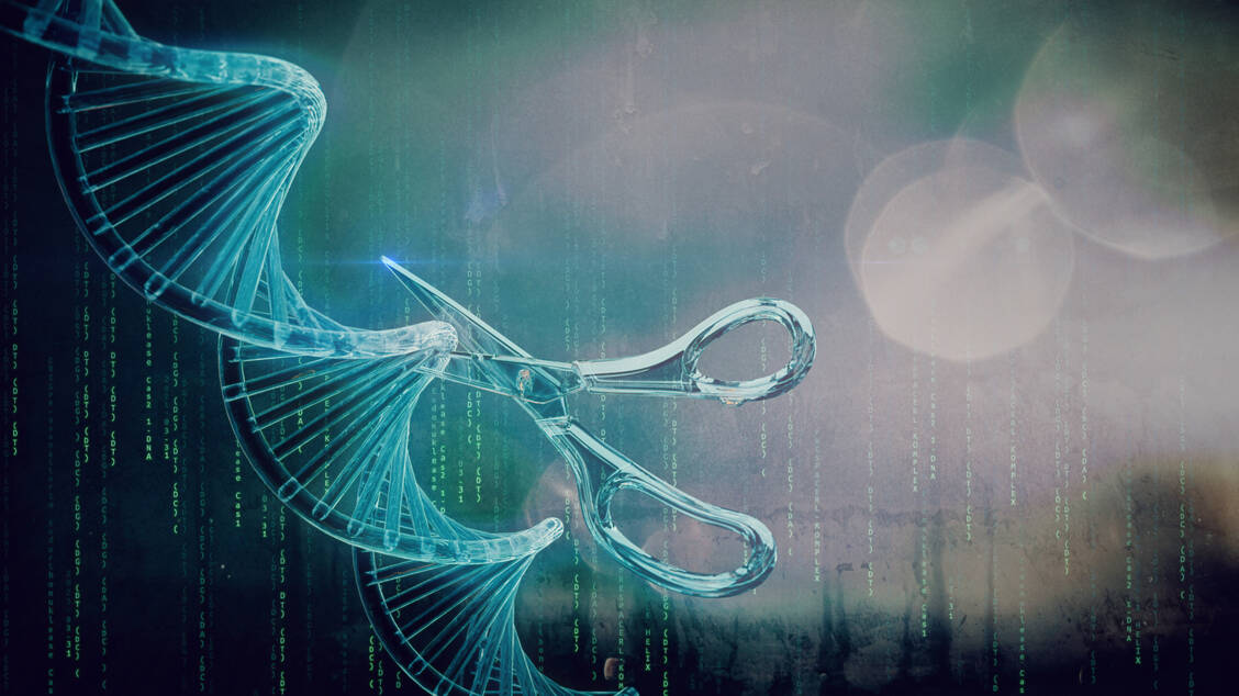 Mit der CRISPR/Cas-Genschere können Genomkorrekturen vorgenommen werden, indem Zielsequenzen gelöscht, ausgetauscht oder eingefügt werden. / © Adobe Stock/Jacqueline Weber