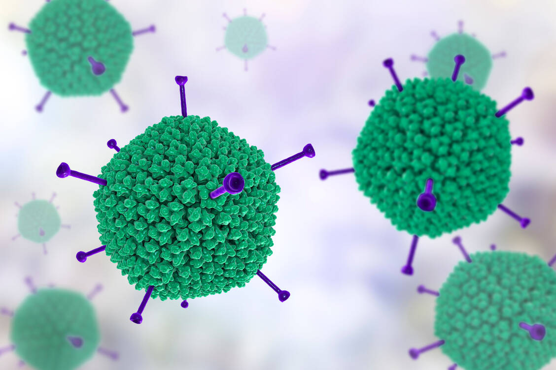 Das geht ins Auge: Eine Infektion mit Adenoviren ist hoch infektiös, langwierig und nicht ungefährlich. / Foto: Getty Images/Science Photo Library