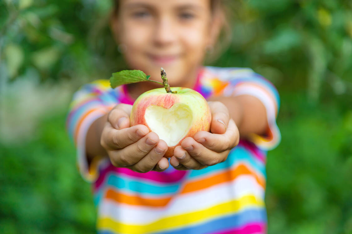 Die hohen Temperaturen dieses Sommers haben für höhere Zuckerwerte im Apfel gesorgt und lassen süße Früchtchen erwarten. Eine gute Ausbeute gibt es auch bei den neuen Arzneimitteln auf dem Markt. / Foto: Adobe Stock/yanadjan