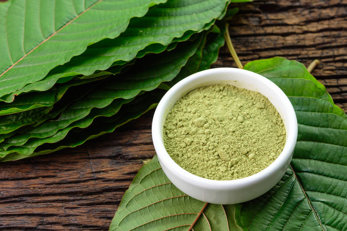 Kratompulver soll je nach Dosis stimulierend oder dämpfend wirken. Doch die Einnahme ist riskant: Kratom kann zahlreiche Nebenwirkungen haben und zu Wechselwirkungen mit Arzneimitteln führen.  / © Getty Images/Yanawut
