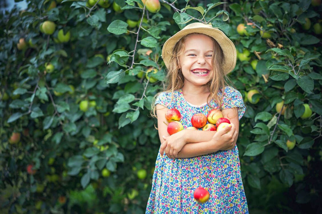 Äpfel schmecken zwar sauer, vergrößern die Säurelast im Körper jedoch nicht. / Foto: Adobe Stock/Sergey Borisov