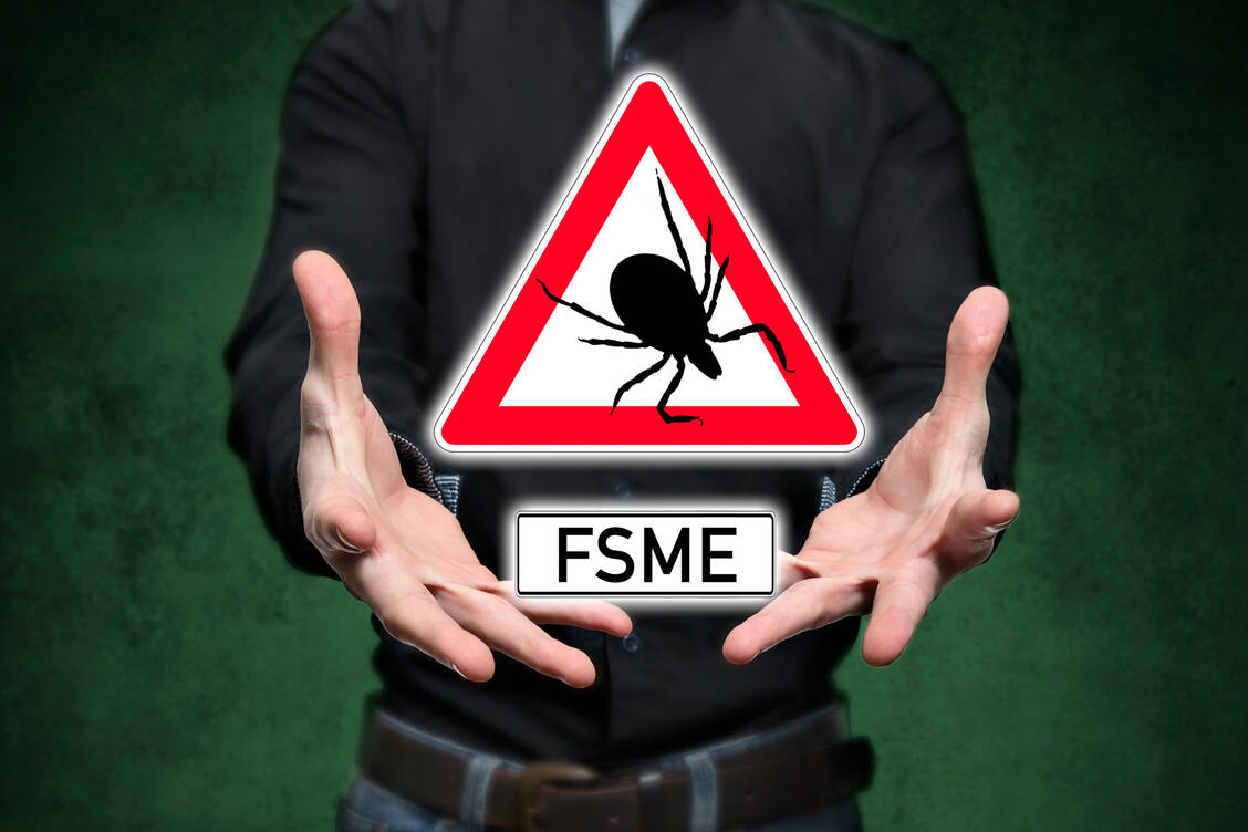 Zecken können zahlreiche Infektionskrankheiten auf den Menschen übertragen, zum Beispiel die Frühsommer-Meningoenzephalitis (FSME). Einen wirksamen Schutz bietet die FSME-Impfung. / Foto: Getty Images/fotoquique