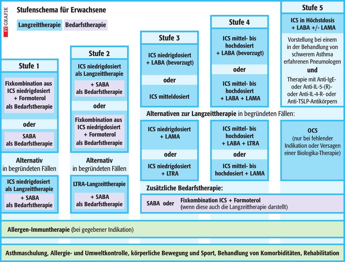 Stufenschema nach NVL, Stand 2024 (ICS: inhalatives Corticosteroid; IgE: Immunglobulin E; IL: Interleukin; LABA: langwirksames inhala­tives Beta-2-Mimetikum; LAMA: langwirksames Anticholinergikum; LTRA: Leukotrien-Rezeptor-Antagonist; OCS: orales Corticosteroid; SABA: kurzwirksames inhalatives Beta-2-Mimetikum; TSLP: Thymus-Stroma-Lymphopoietin) / © PZ/Stephan Spitzer