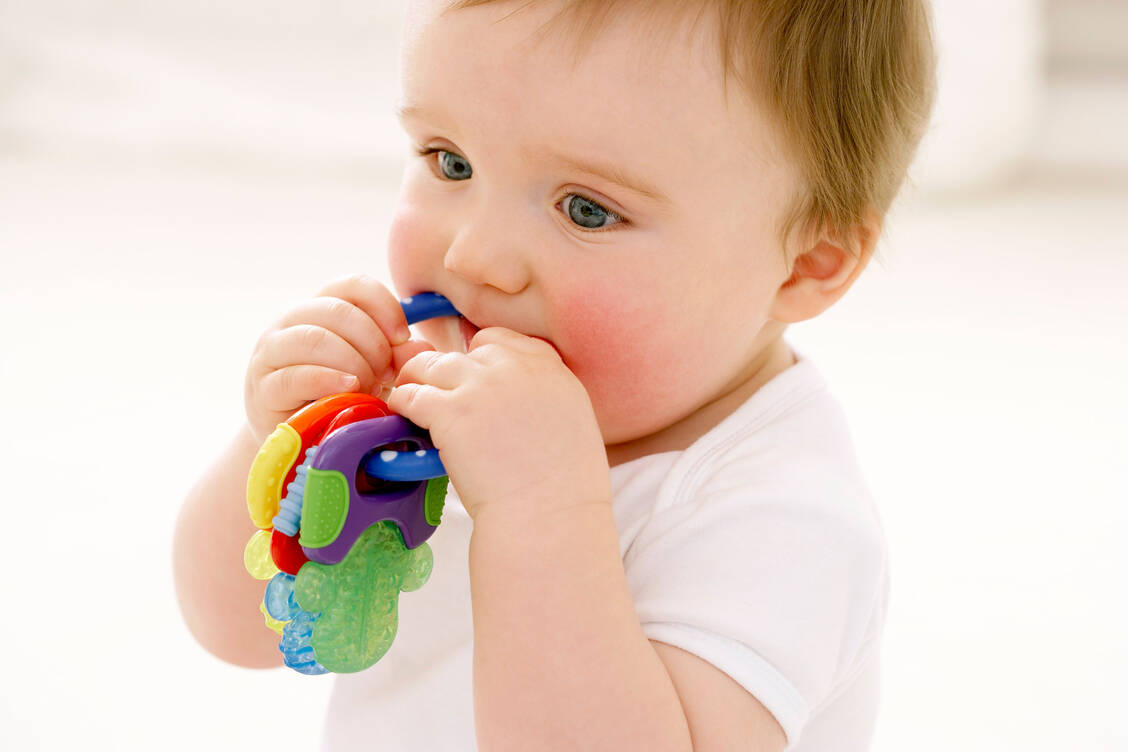Auf etwas herumzukauen, mindert die Schmerzen und erleichtert Babys so das Zahnen.  / Foto: Getty Images/	Science Photo Library - RUTH JENKINSON