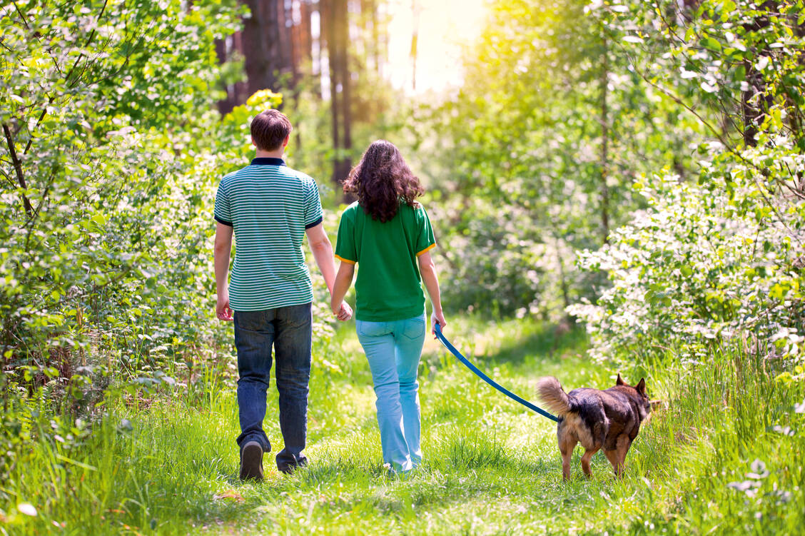 Lange Hosen, Strümpfe und geschlossene Schuhe verwehren Zecken den Weg zur Haut. / Foto: iStock/vvvita