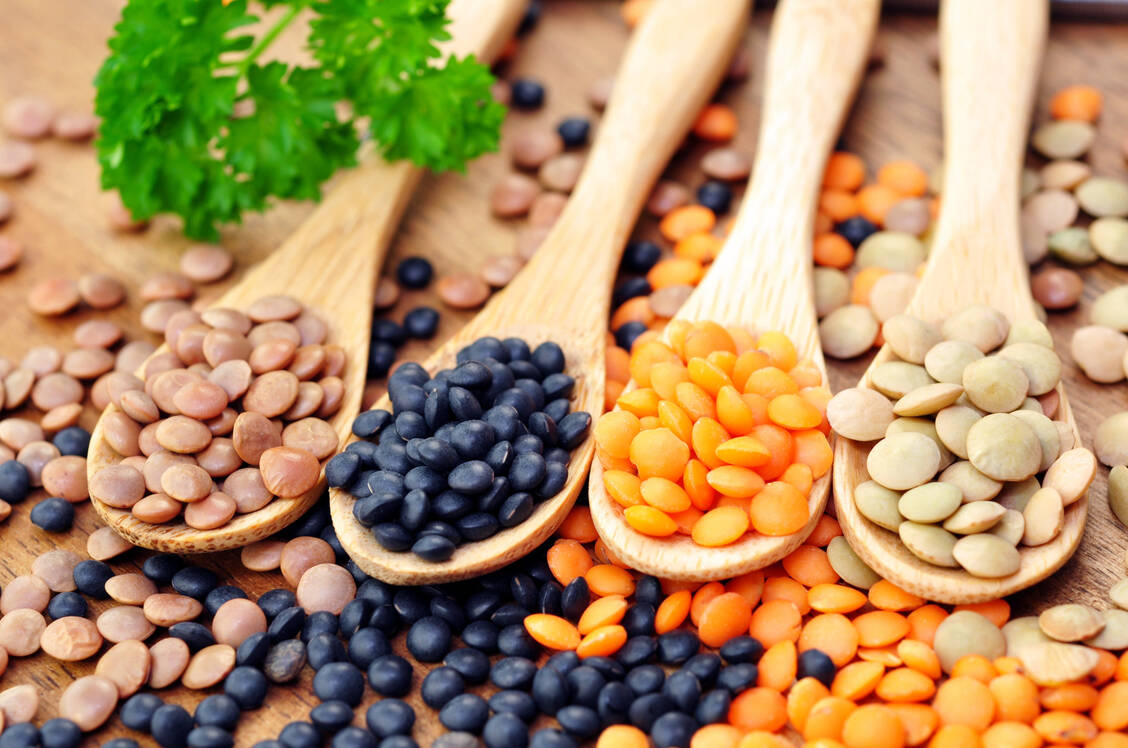 Bunt und vielfältig: Linsen gehören unbedingt auf den gesundheitsbewussten Speiseplan. / © Adobe Stock/Printemps