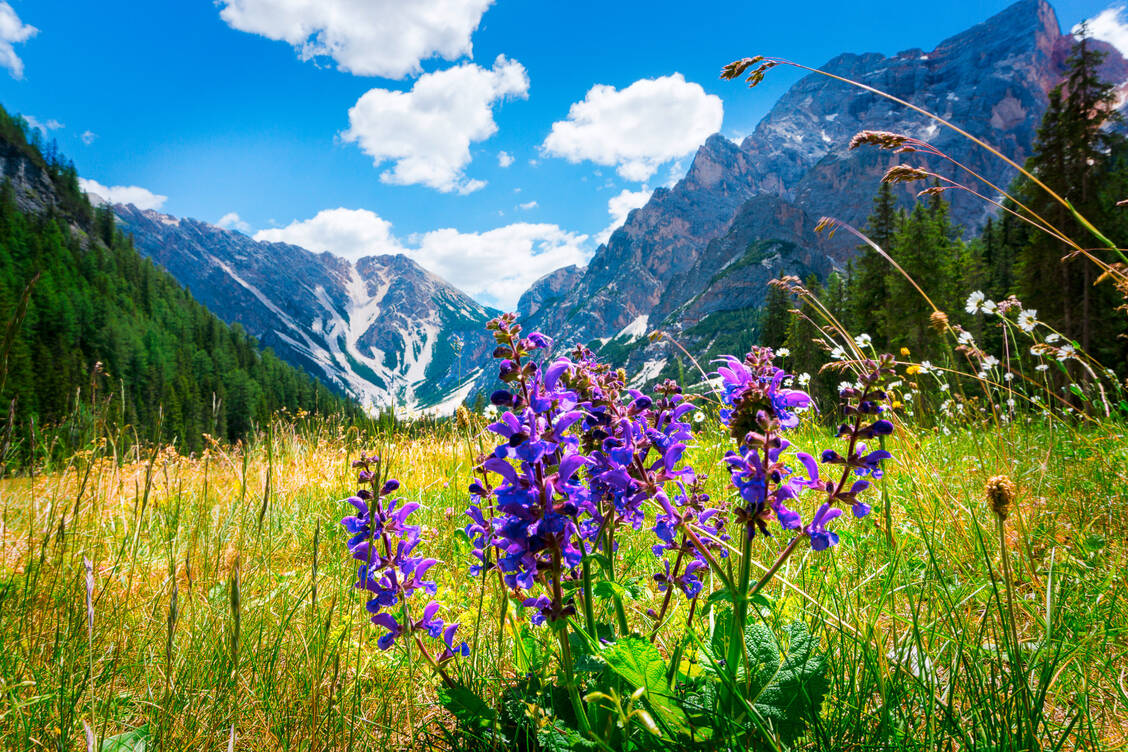 Endlich Urlaub – und dann wird man plötzlich krank oder verletzt sich. Gehen die Urlaubstage nun verloren? / Foto: Adobe Stock/Sharidan by Franz Scheib