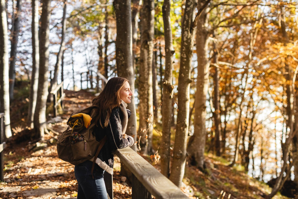 Ein Tipp: Bewusst die Umgebung wahrnehmen, zum Beispiel im Wald beobachten, wie die Bäume aussehen, wie Blätter und Rinde beschaffen sind. Dies kann dabei helfen, das Gedankenkarussell zu stoppen. / © Getty Images/deimagine