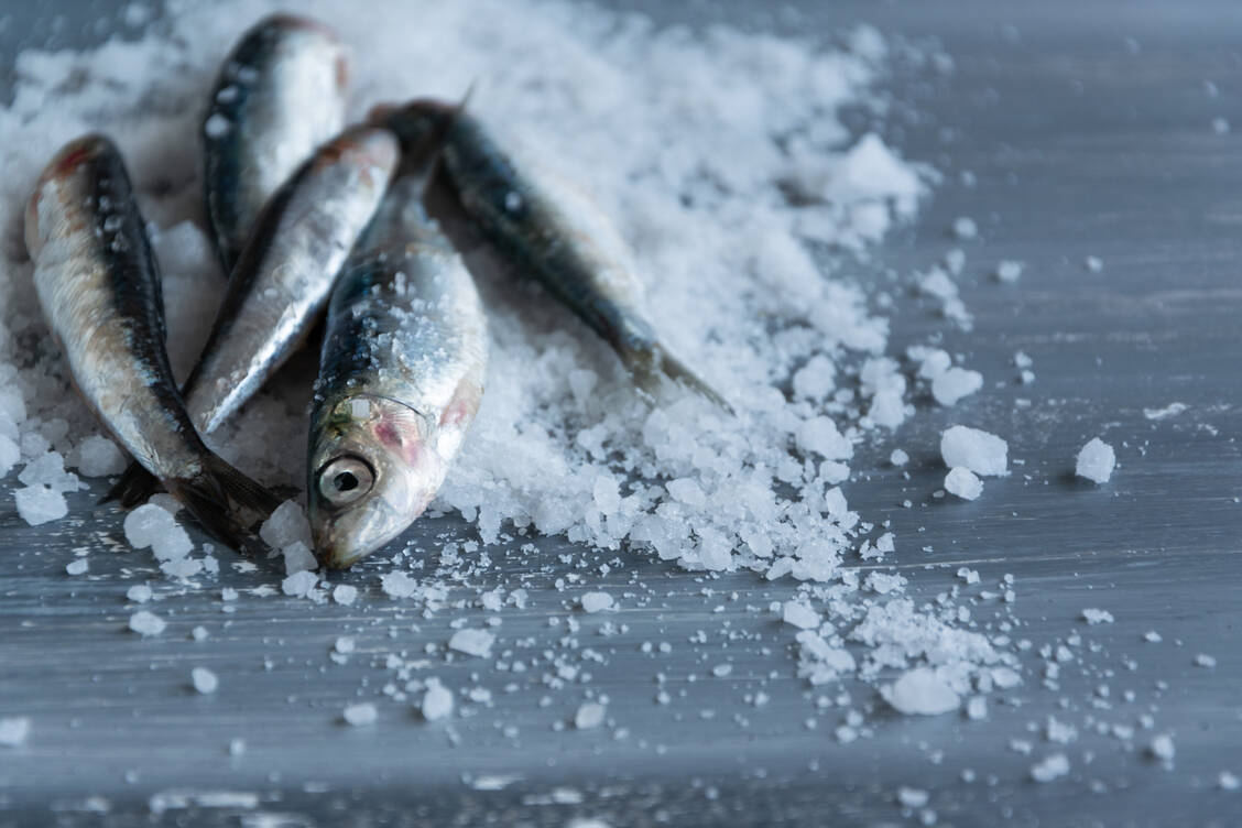 Bereits im 14. Jahrhundert haben holländische Fischer ihre Fänge in Salz eingelegt und so konserviert. / Foto: Getty Images/Alikaj2582