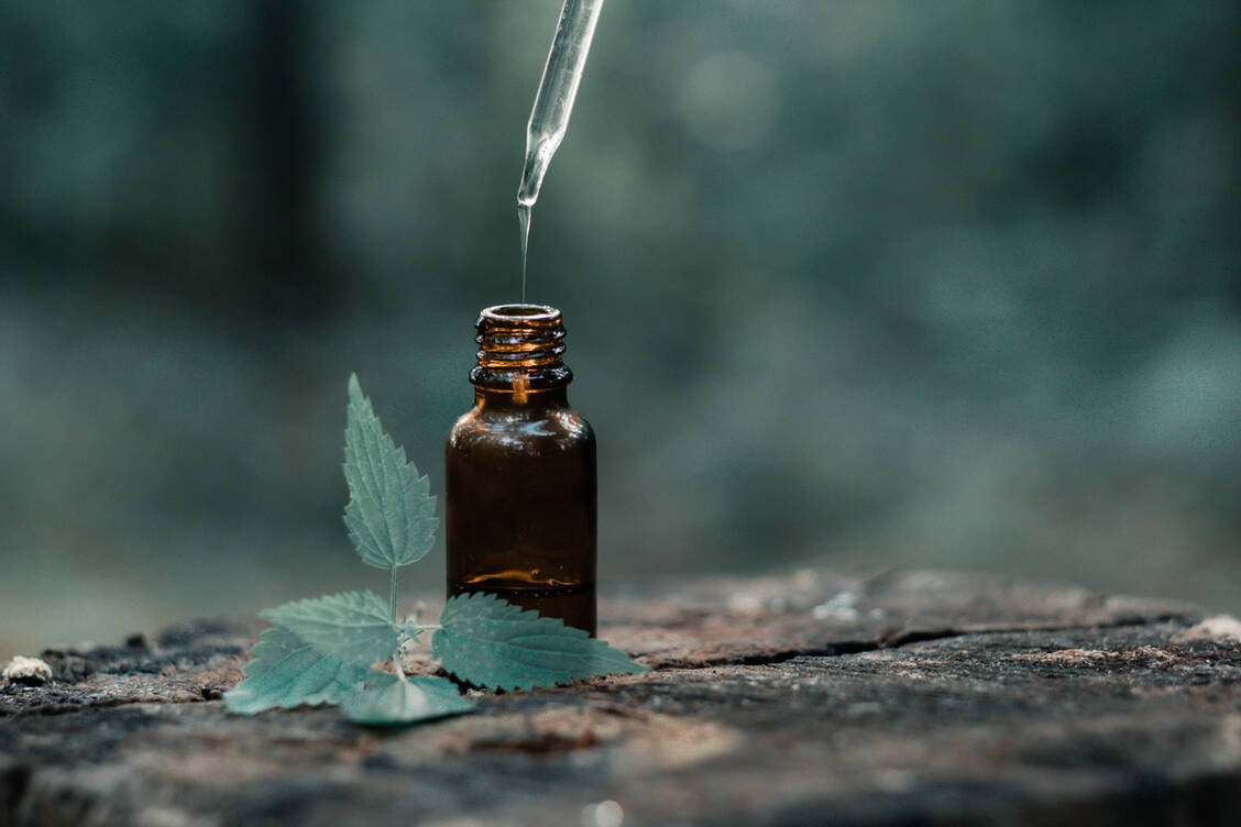 Die Inhalation von Pfefferminzöl half Pateinten nach einer Bauchoperation gegen ihre Übelkeit. / Foto: Adobe Stock/Bruno Golemac