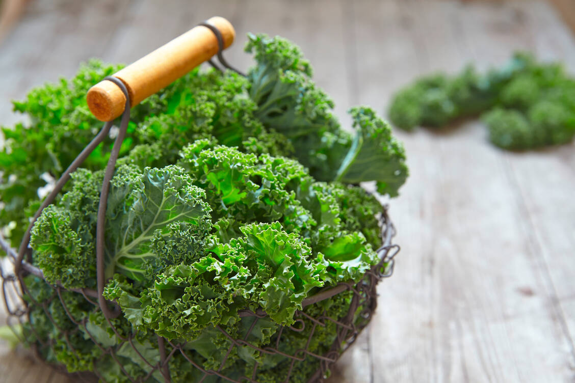 Grünkohl kann man durchaus als Superfood bezeichnen, da er eine sehr hohe Nährstoffdichte aufweist. / Foto: Adobe Stock/azurita