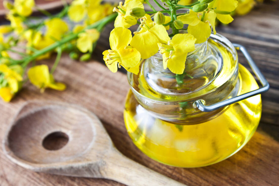 Rapsöl gilt unter Ernährungsexperten als gesund. Warum warnen dennoch viele Influencer davor? / © Adobe Stock/PhotoSG