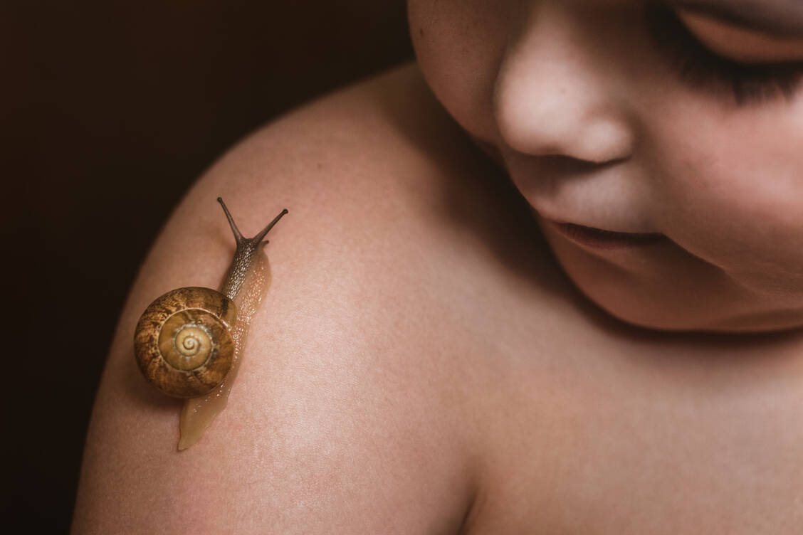 Manch einer schwor auf Schneckenschleim und ließ eine Schnecke über die Warzen kriechen. / © Getty Images/Click&Boo