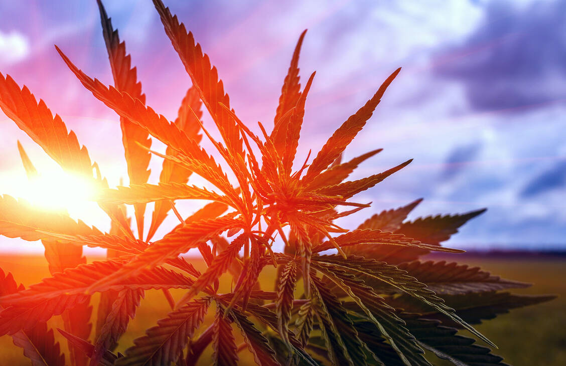 Im Pamir-Gebirge wurden in Gräbern Räuchergefäße gefunden, die Cannabis-Überreste enthielten – mit relativ hohem THC-Anteil. / Foto: ©Lumppini - stock.adobe.com