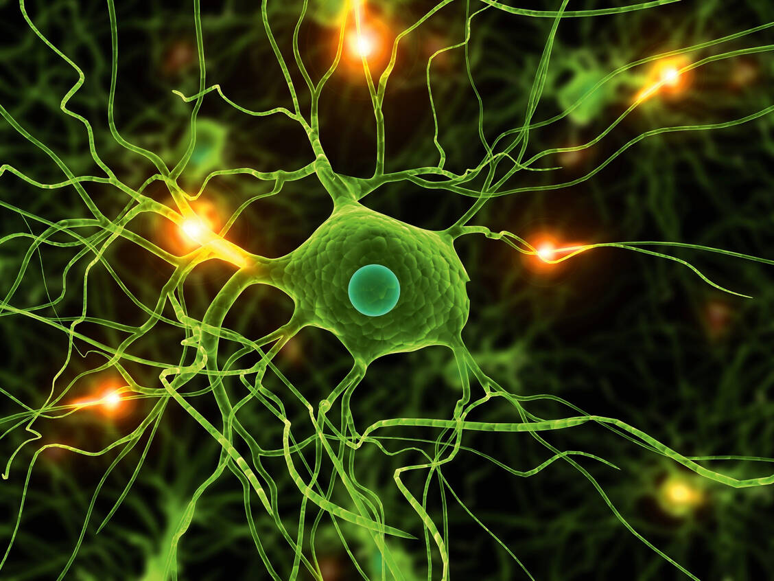 Eine mögliche Nebenwirkung einiger Chemotherapien: eine Neuropathie, die verschiedenste und quälende Beschwerden mit sich bringen kann.  / Foto: Sebastian Kaulitzki - Fotolia.com