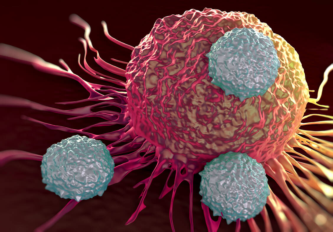 Metastasierende Krebszellen in Blut- und Lymphbahnen sind anfälliger für das Immunsystem als Tumorzellverbände. Eine Studie fand nun, dass die Tumorzellen Thromboxan A2 nutzen, um T-Zellen »müde« zu machen. / © Adobe Stock/PRB ARTS