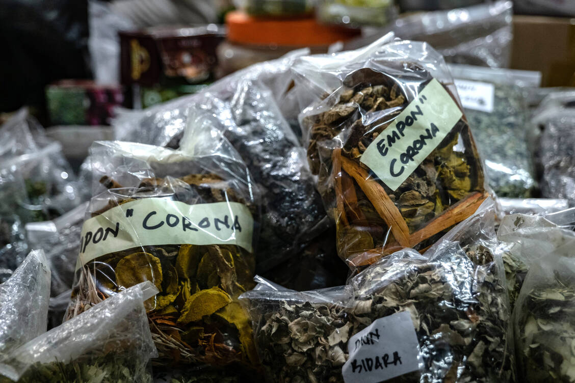 Traditionelle Kräutermedizin aus Java, Indonesien – bekannt als »Empon-empon Corona«. Ihr wird von den Einheimischen nachgesagt, dass sie das Coronavirus verhindern kann. / Foto: Getty Images/Ulet Ifansasti
