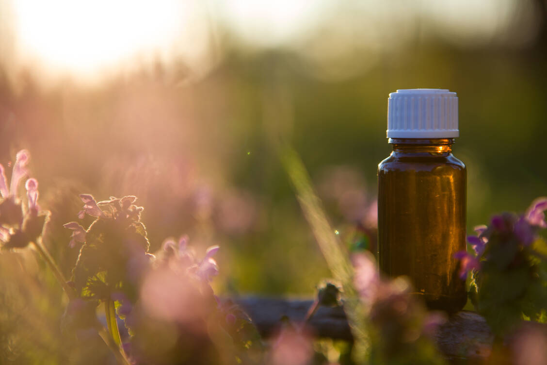 Feinstoffliche Informationen der Blüte sollen durch Sonne oder Hitze in das Medium Wasser übergehen. / Foto: Foto: Adobe Stock/MAXSHOT