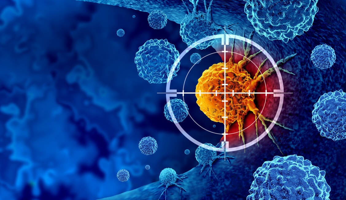 Künstliche beige Fettzellen konnten bei Mäusen und in In-vitro-Versuchen helfen, Tumoren auszuhungern. / © Adobe Stock/freshidea
