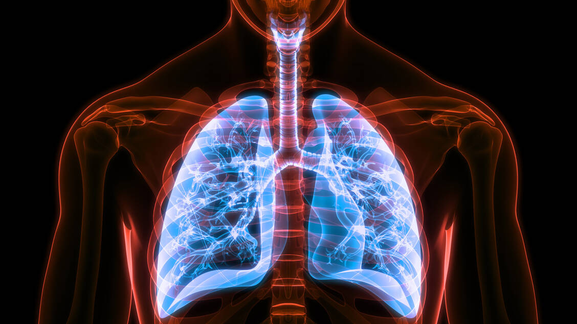 The doctor will only make a diagnosis of post-infectious cough if they have ruled out other possible causes such as the chronic respiratory diseases asthma and COPD. / © Adobe Stock/magicmine
