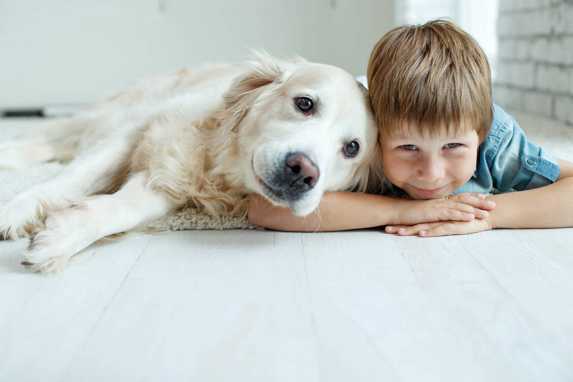 Die Gesellschaft eines Haustiers in jungen Jahren könnte dem Körper helfen, besser mit Stress umzugehen. / © Adobe Stock/nuzza11