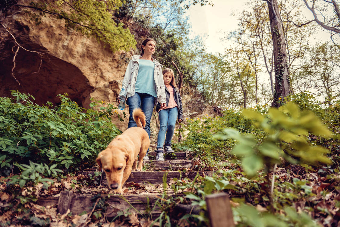 Lange Kleidung macht es Zecken schwer, sich einen Weg bis zur Haut ihres »Opfers« zu bahnen. / Foto: Adobe Stock/kerkezz