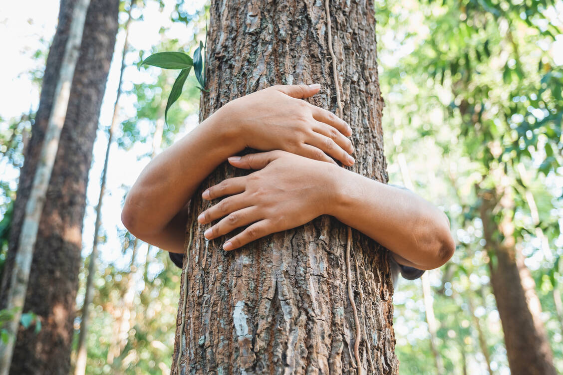 Man muss nicht gleich Bäume umarmen, um von der Natur zu profitieren. Es genügt laut Studie, sich häufiger in natürlichen Umgebungen aufzuhalten. / © Adobe Stock/Weerapat W.