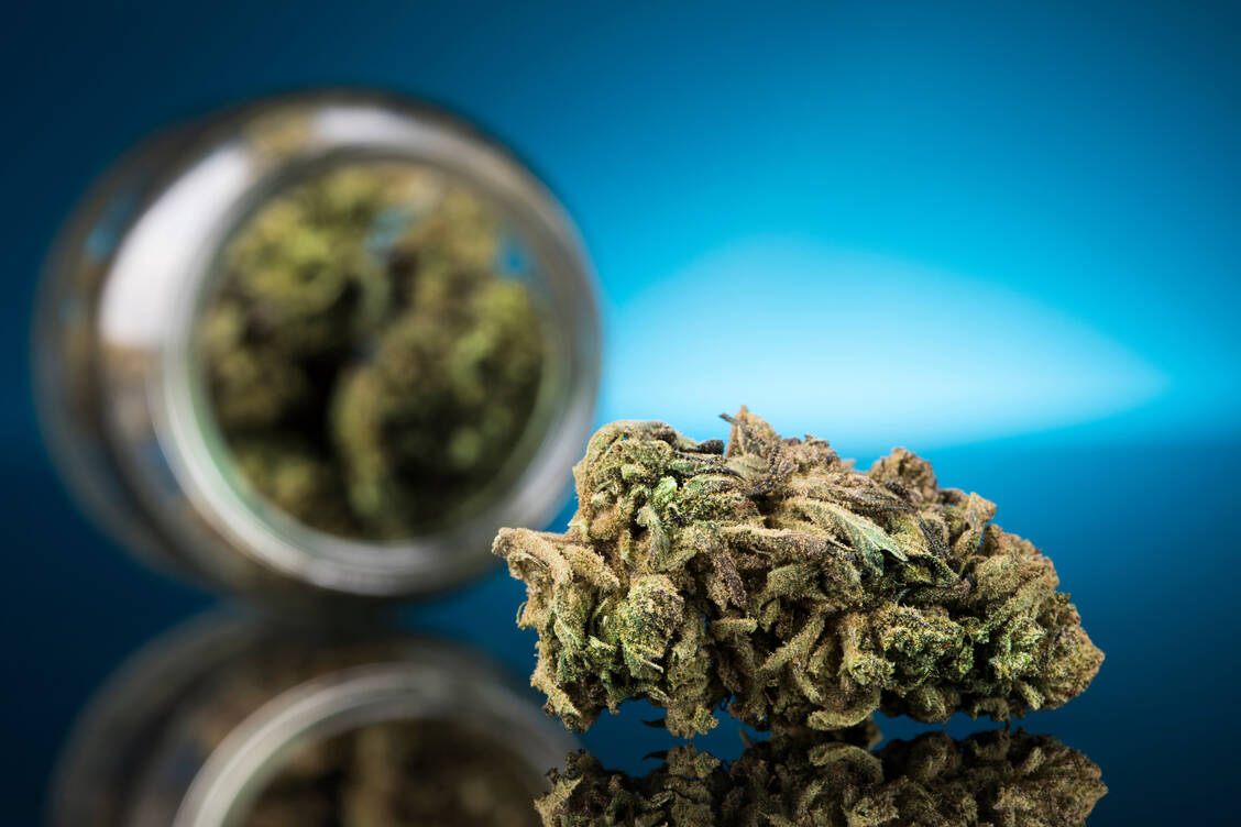 Cannabis wird teilweise legal, für Erwachsene. / Foto: Adobe Stock/Sebastian Duda