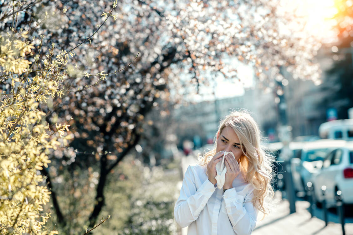 Schlechte Zeiten für Allergiker: Der Klimawandel beeinflusst die Pollenflugzeit, bei höherem Kohlendioxid-Gehalt in der Luft werden mehr Pollen produziert und Umweltschadstoffe machen Pollen aggressiver. / Foto: Getty Images/bluecinema