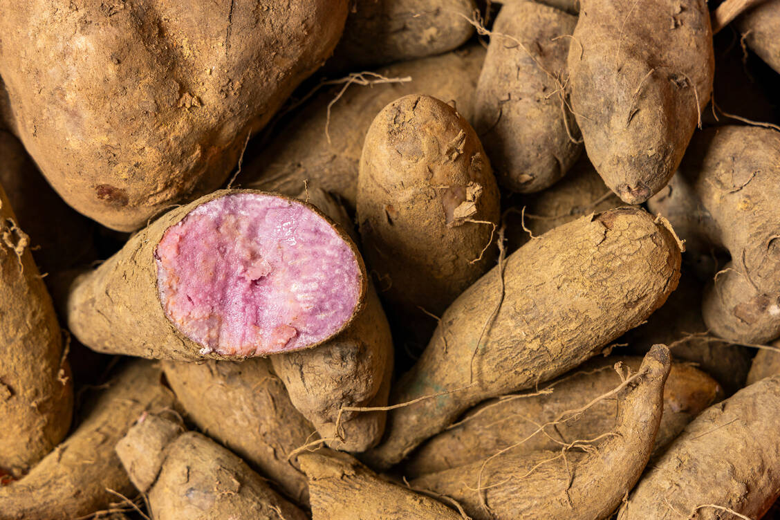 Ube wird hauptsächlich auf den Philippinen angebaut. / © Getty Images/Luis Echeverri Urrea