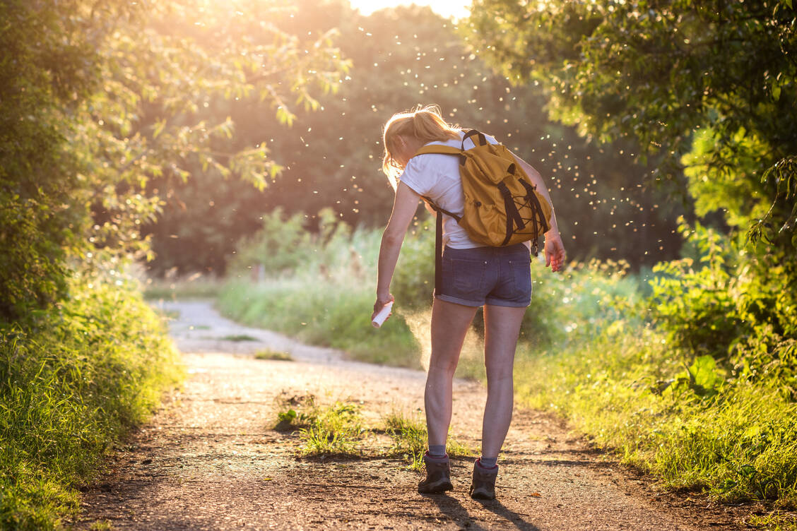 Repellentien bilden eine für Mücken unangenehme »Duftbarriere«, der Anwender bleibt so vor Stichen verschont.   / © Adobe Stock/encierro