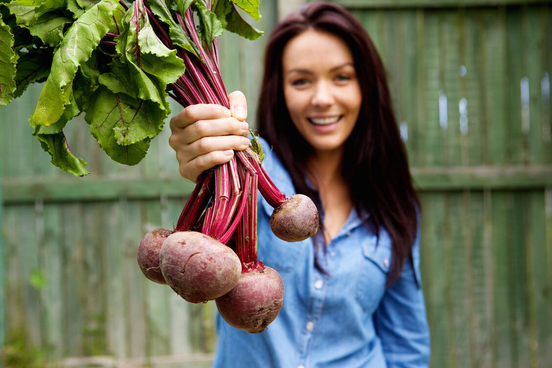 Vielseitiges Wurzelgemüse: Die Rote Bete hat geschmacklich und gesundheitlich einiges zu bieten. / Foto: Getty Images/m-imagephotography