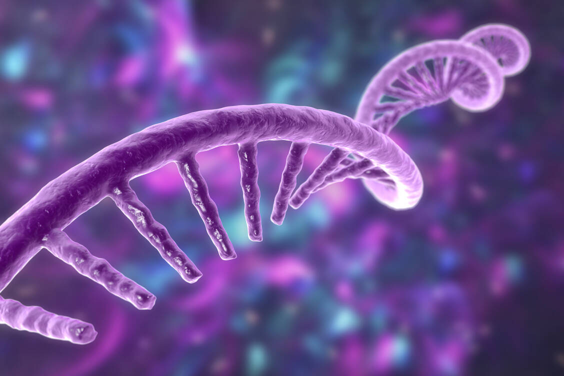 mRNA heißt messenger-RNA. Es handelt sich um eine einsträngige Ribonukleinsäure, die in Zellen den »Bauplan« für bestimmte Proteine bereitstellt. / Foto: Getty Images/Science Photo Library/Kateryna Kon