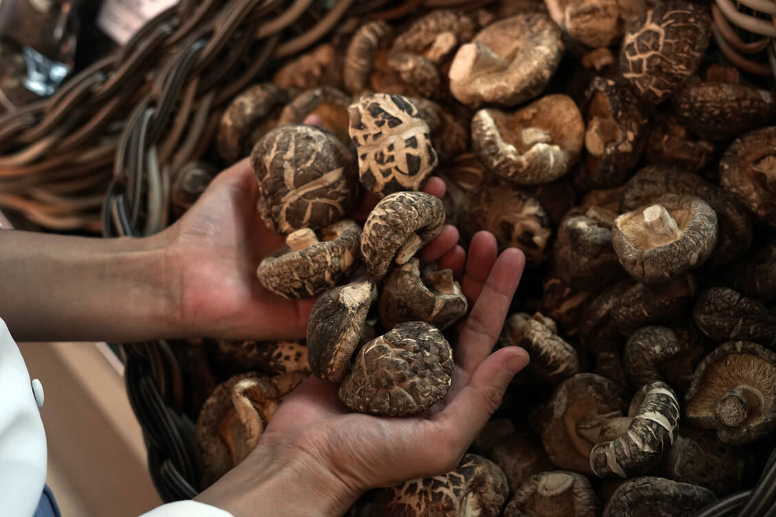 Shiitake-Pilzen werden so einige positive Wirkungen nachgesagt. Das Bundesinstitut für Risikobewertung hat allerdings bereits im Jahr 2004 auf mögliche gesundheitliche Risiken dieser Pilze hingewiesen. Der Grund: Nach dem Verzehr kann eine sogenannte Shiitake-Dermatitis auftreten.  / Foto: Getty Images/Arif Rizki